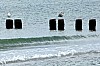 perow-zingst - (c) c tussing.jpg